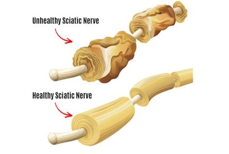 Nerve Health Source